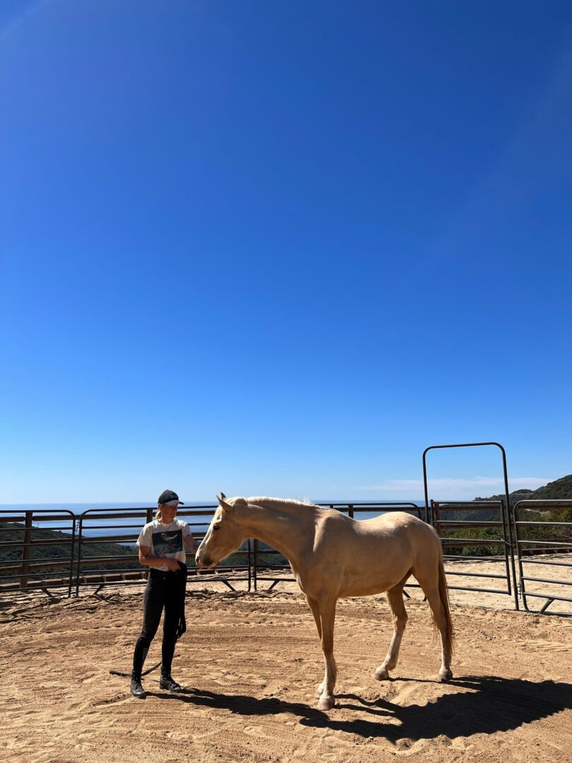 Person standing next to a light-colored horse in an outdoor riding arena with blue sky.