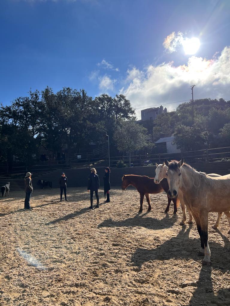 People and horses in an outdoor riding area with trees and a hill in the background under a sunny sky.