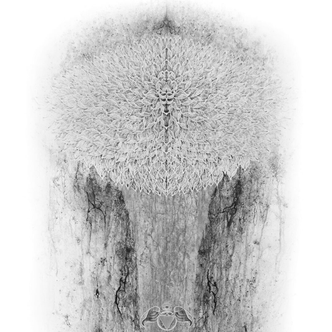 Close-up of a textured, circular, spiky surface with dark streaks on a white background.